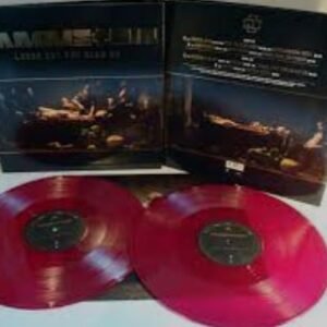 Rammstein LIEBE IST F??R ALLE DA Vinyl Record